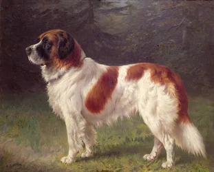 Saint Bernard